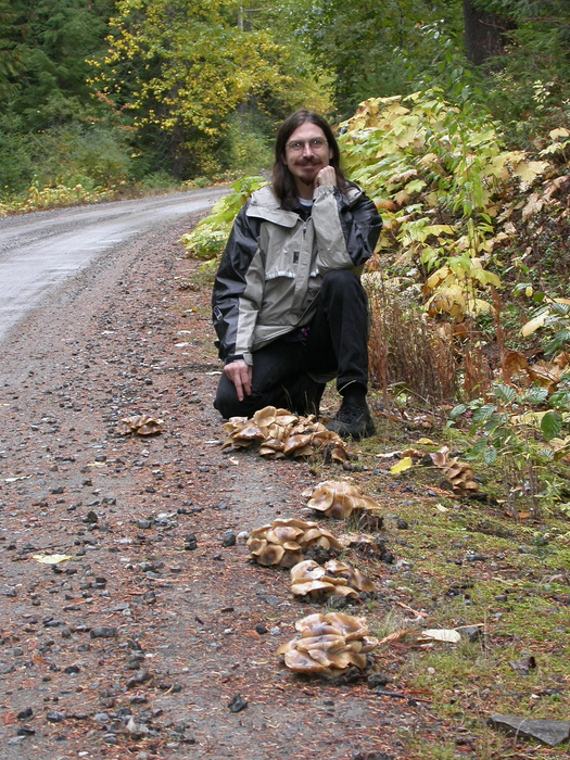 mushroom photo