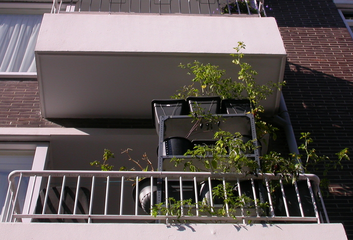 balcony farm