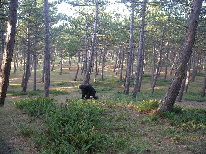 eric in the woods